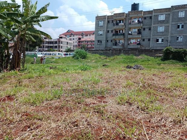 Quarter Acre Commercial Plot Ruaka