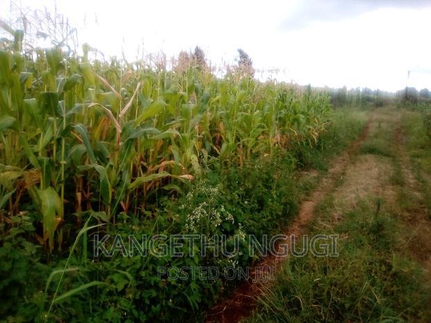 40x80 Plot Anmer Estate Kiambu
