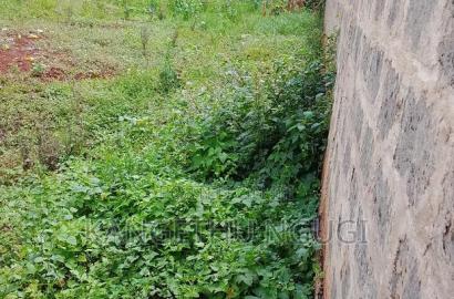 50x100 Commercial Plot Ruaka