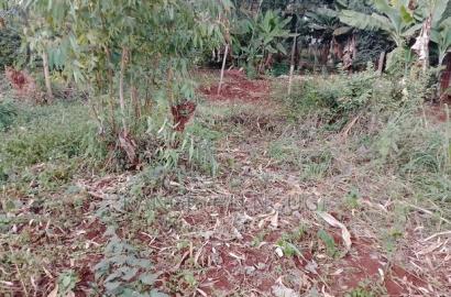 40 X 90 Plot Kirigu-Ini Ndumberi