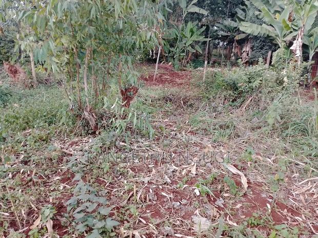40 X 90 Plot Kirigu-Ini Ndumberi
