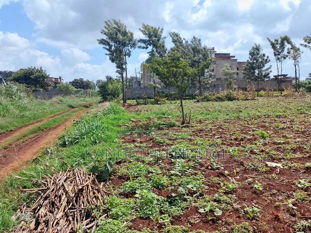 Two 40x80 Plots at Kiora Estate