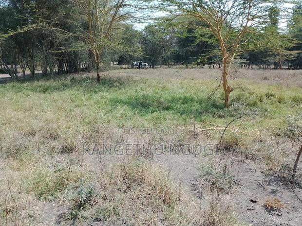 Half Acre Plot at Seleni Kangundo Rd