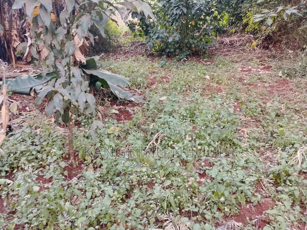 Quarter Acre Commercial Plot Kiambu Town