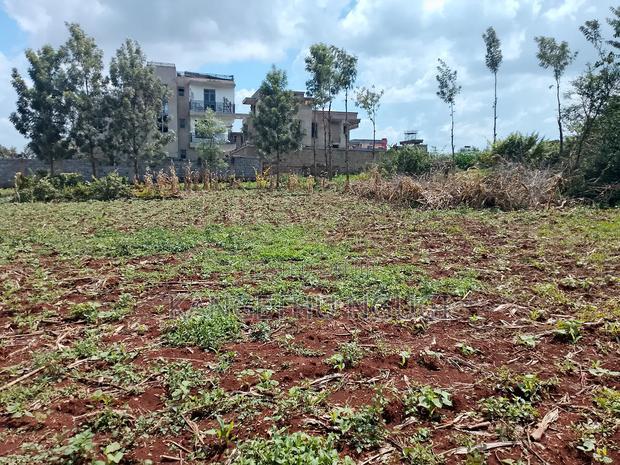 Two 40x80 Plots at Kiora Estate