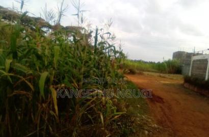 40x80 Plot Matropi Estate Kiambu
