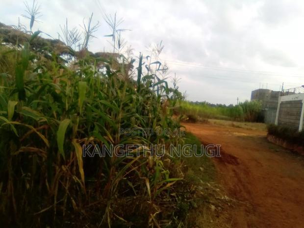 40x80 Plot Matropi Estate Kiambu