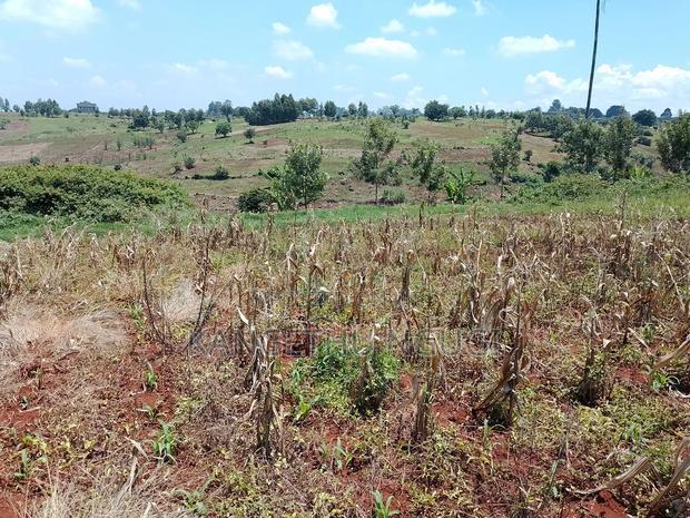 Three 40x80 Plots Matropi Estate Kiambu