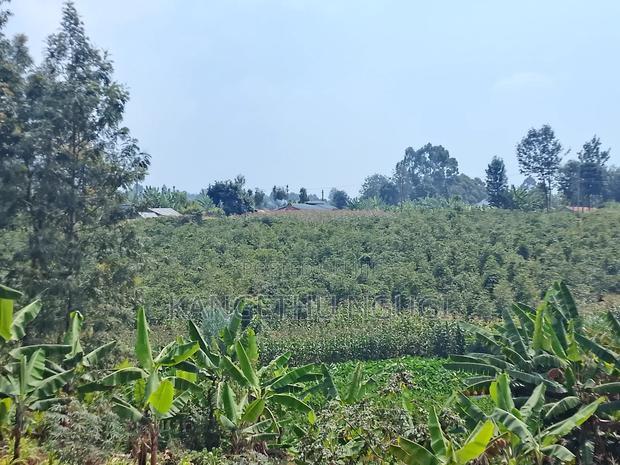 3.5 Acres Tinganga