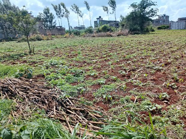 Two 40x80 Plots at Kiora Estate