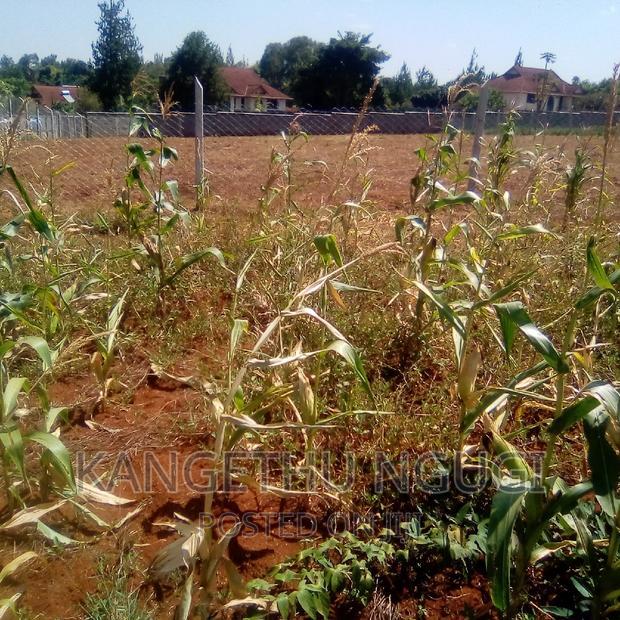 Half Acre Runda Mumwe