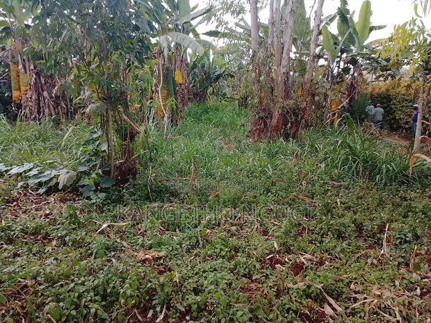 40 X 90 Plot Kirigu-Ini Ndumberi