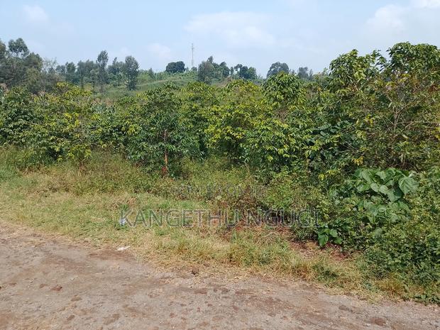 3.5 Acres Tinganga