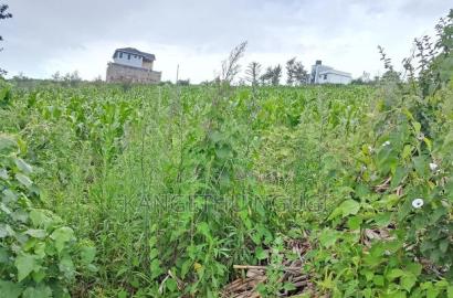 Two 40x80 Adjoining Plots at Anmer Estate