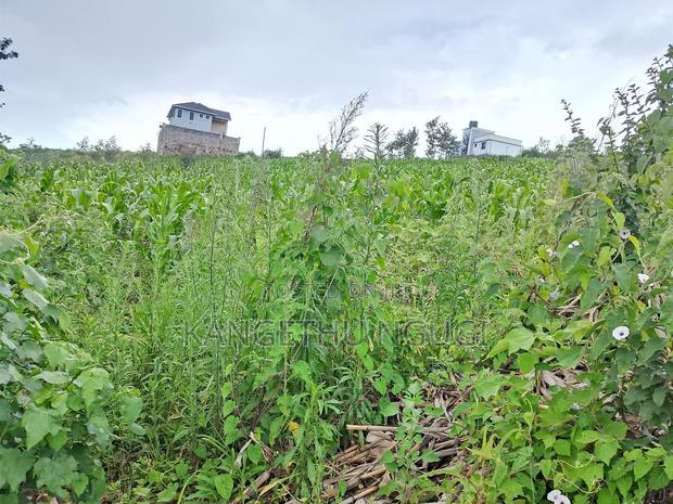 Two 40x80 Adjoining Plots at Anmer Estate