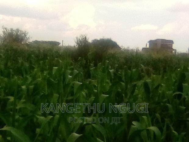 40x80 Plot Anmer Estate Kiambu