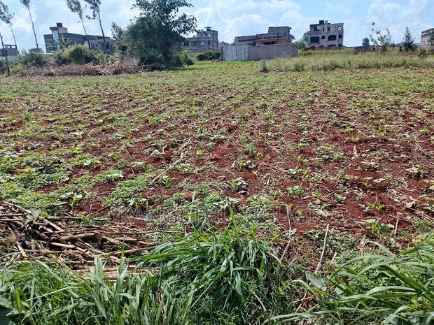 Two 40x80 Plots at Kiora Estate