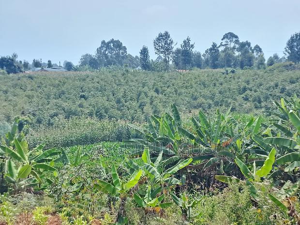 3.5 Acres Tinganga