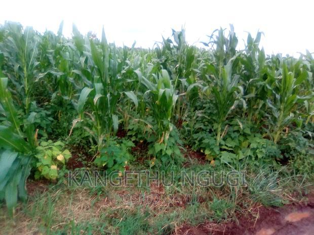 40x80 Plot Anmer Estate Kiambu