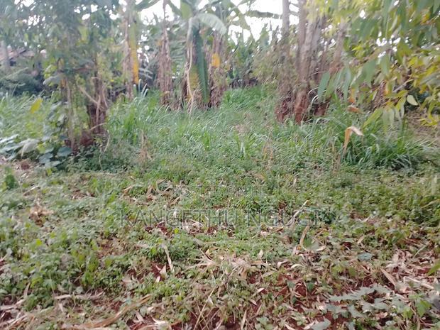 40 X 90 Plot Kirigu-Ini Ndumberi