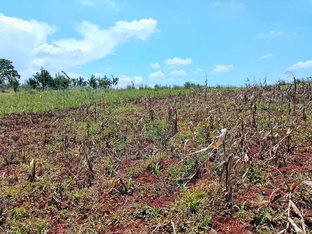 Three 40x80 Plots Matropi Estate Kiambu