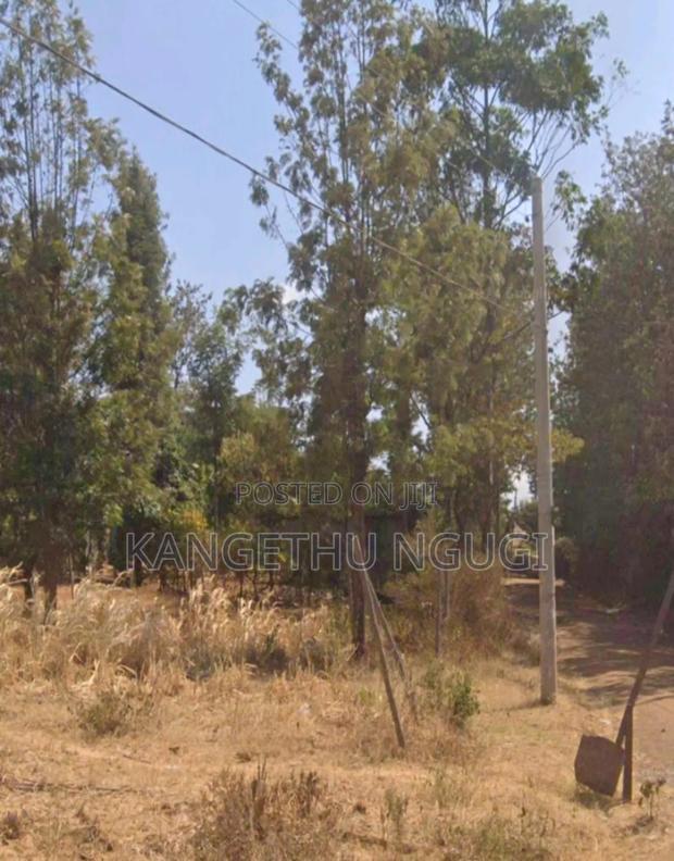 50 X 100 Residential Plot Mugumo Estate Kiambu