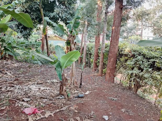 Quarter Acre Commercial Plot Kiambu Town