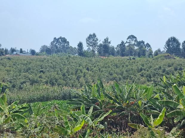 3.5 Acres Tinganga