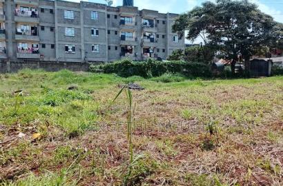 Quarter Acre Commercial Plot Ruaka