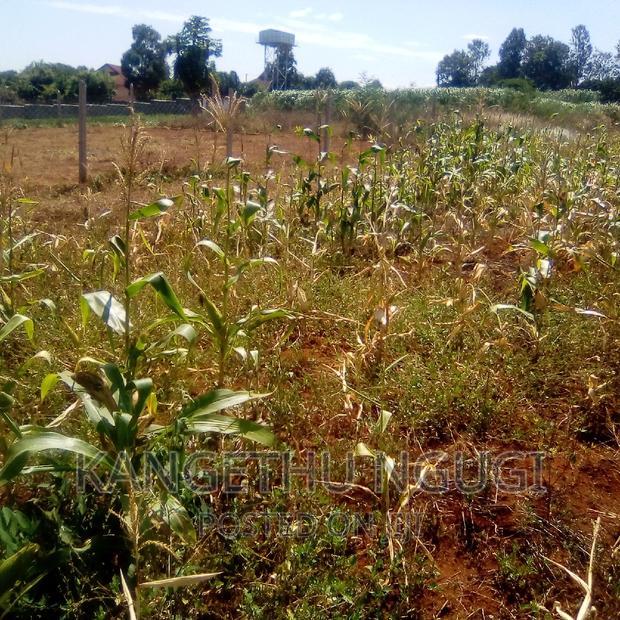 Half Acre Runda Mumwe