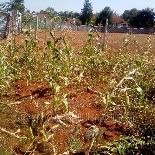 Half Acre Runda Mumwe