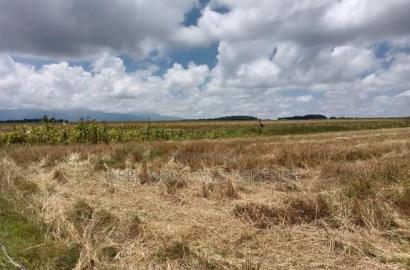 Prime 100 Acres for Sale