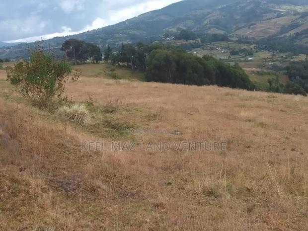 Prime Acres for Sale