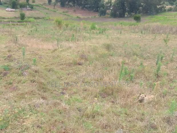 Prime Acres for Sale
