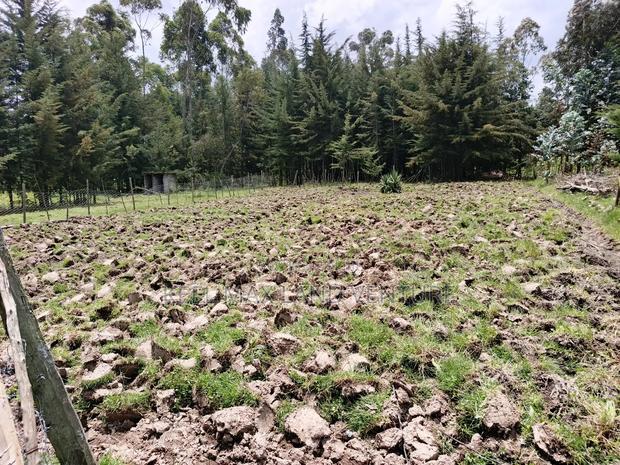 3 Prime 50 by 100 Plots for Sale