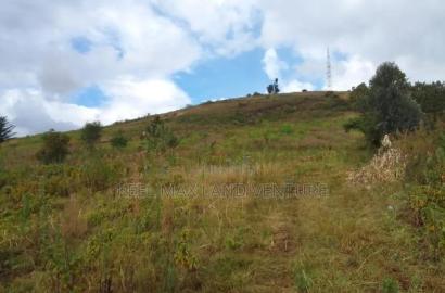 Prime Acres for Sale