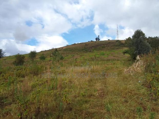 Prime Acres for Sale