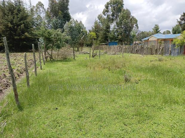 3 Prime 50 by 100 Plots for Sale