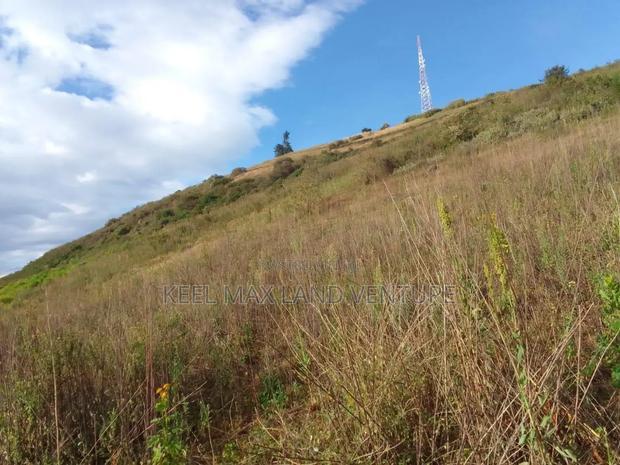 Prime Acres for Sale