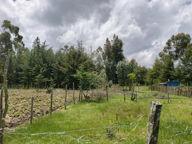 3 Prime 50 by 100 Plots for Sale
