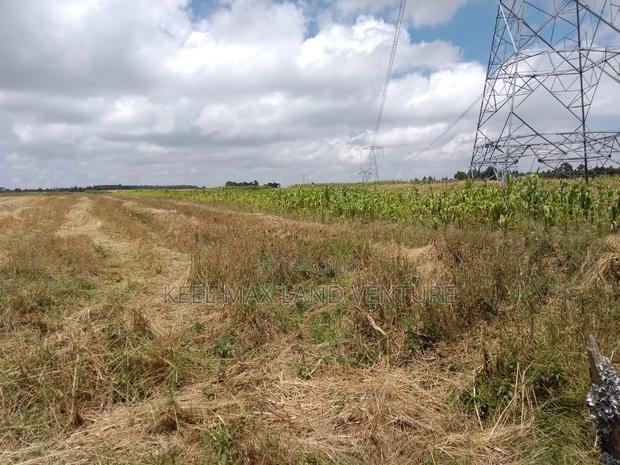 Prime 100 Acres for Sale