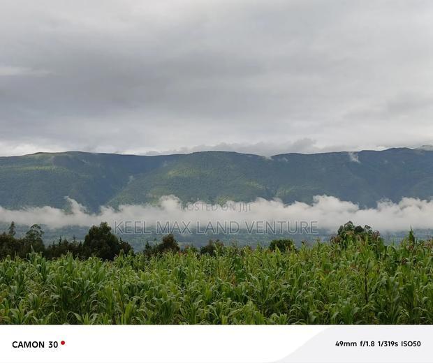 Prime Acres for Sale