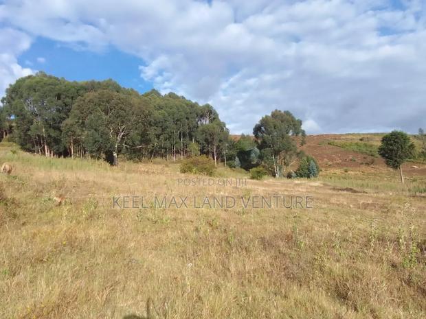 Prime Acres for Sale