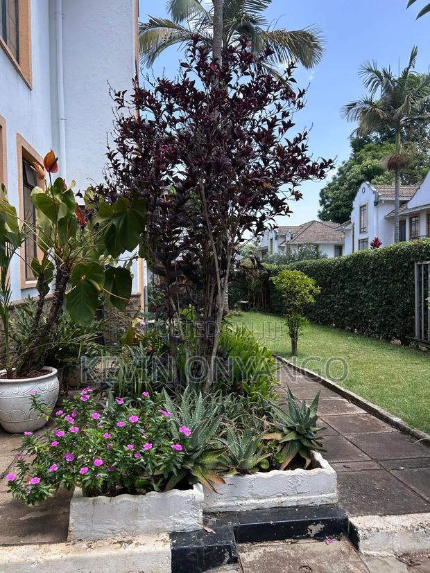 5bdrm Townhouse / Terrace in Lavington for rent