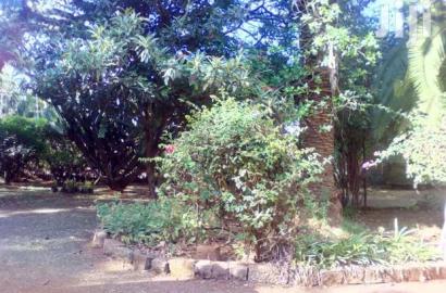 A 1/2 Acre Commercial in Developed Neighbourhood, Lavington