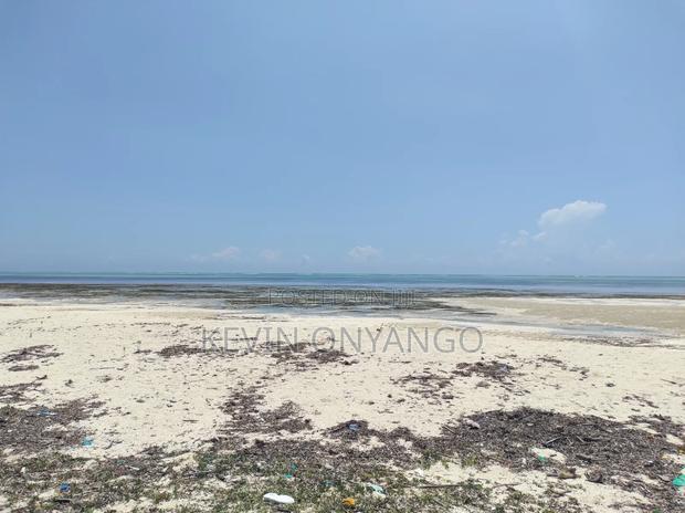 9 Acres of Beach Front Plots, Watamu
