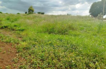 1/8 Acre Plots for Sale in Ruiru, Mugutha