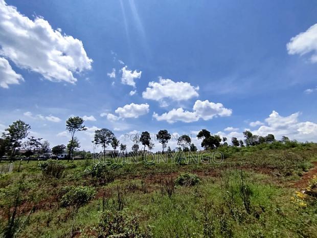 1/2 Acre Land for Sale in Runda