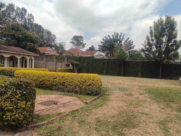 A Commercial 14 Bedrooms to Let
