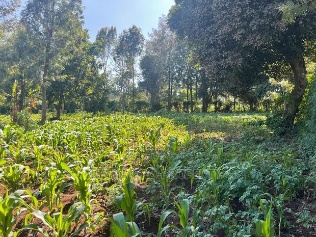 Prime Commercial Plot in Kikuyu, Thogoto-Southern Bypass.